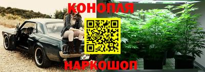 ГАЛЛЮЦИНОГЕННЫЕ ГРИБЫ Моздок