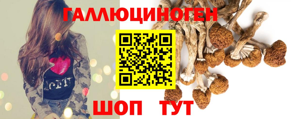 Ухта  Галлюциногенные грибы Psilocybine cubensis  хочу   Вход с VPN 